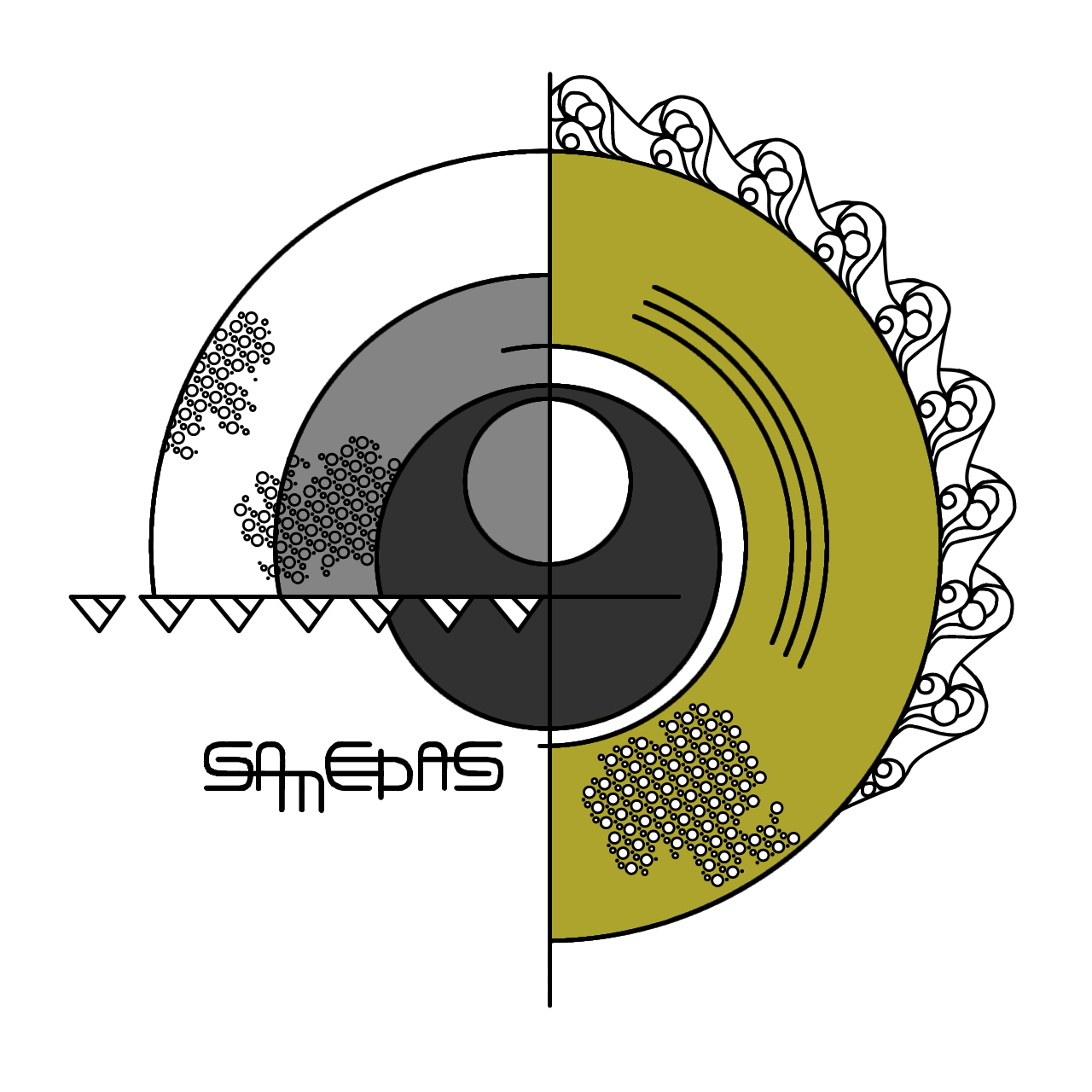 SAMEDASのアバター