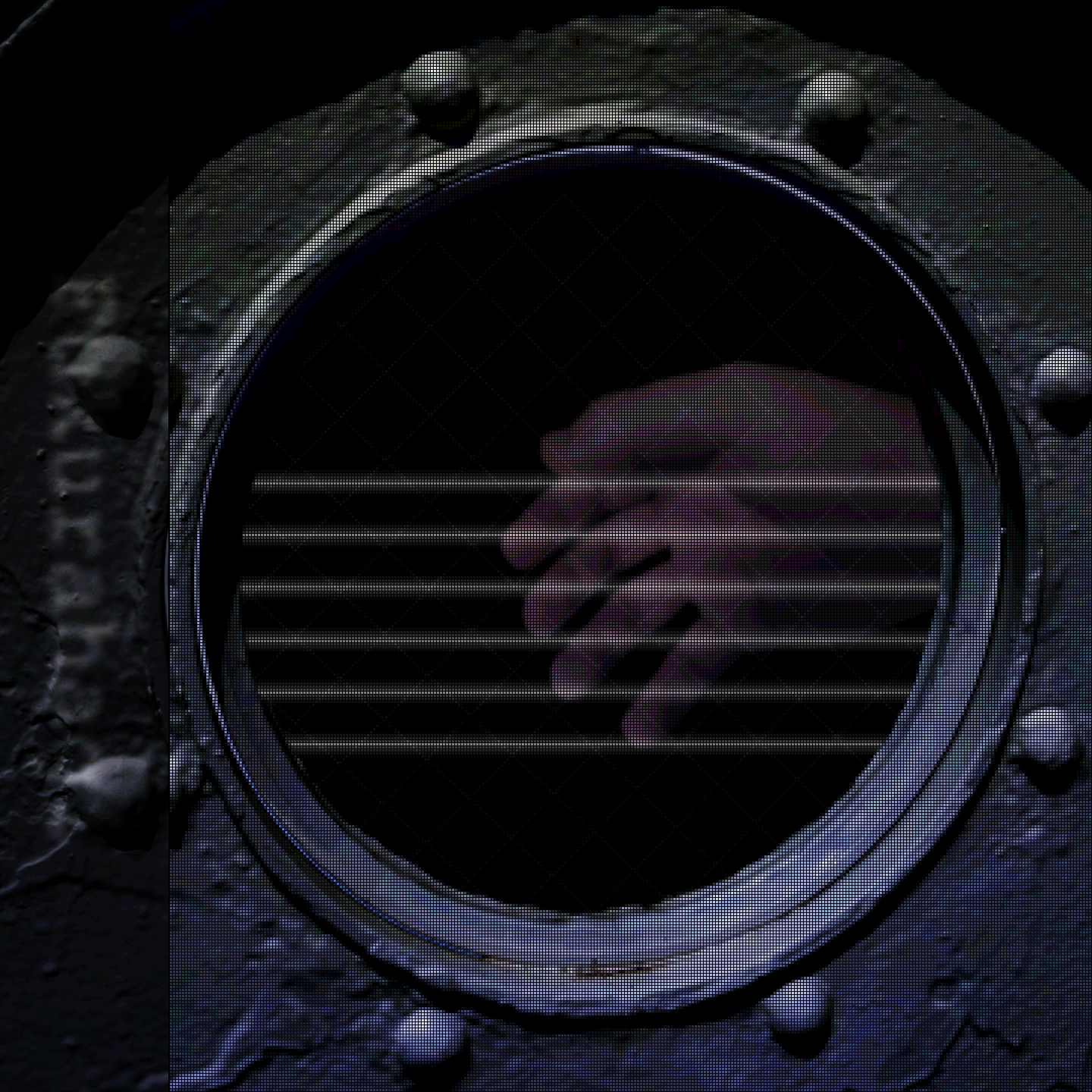 ふくらはぎのアバター